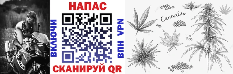 Бошки Шишки White Widow  Купить  Велиж 